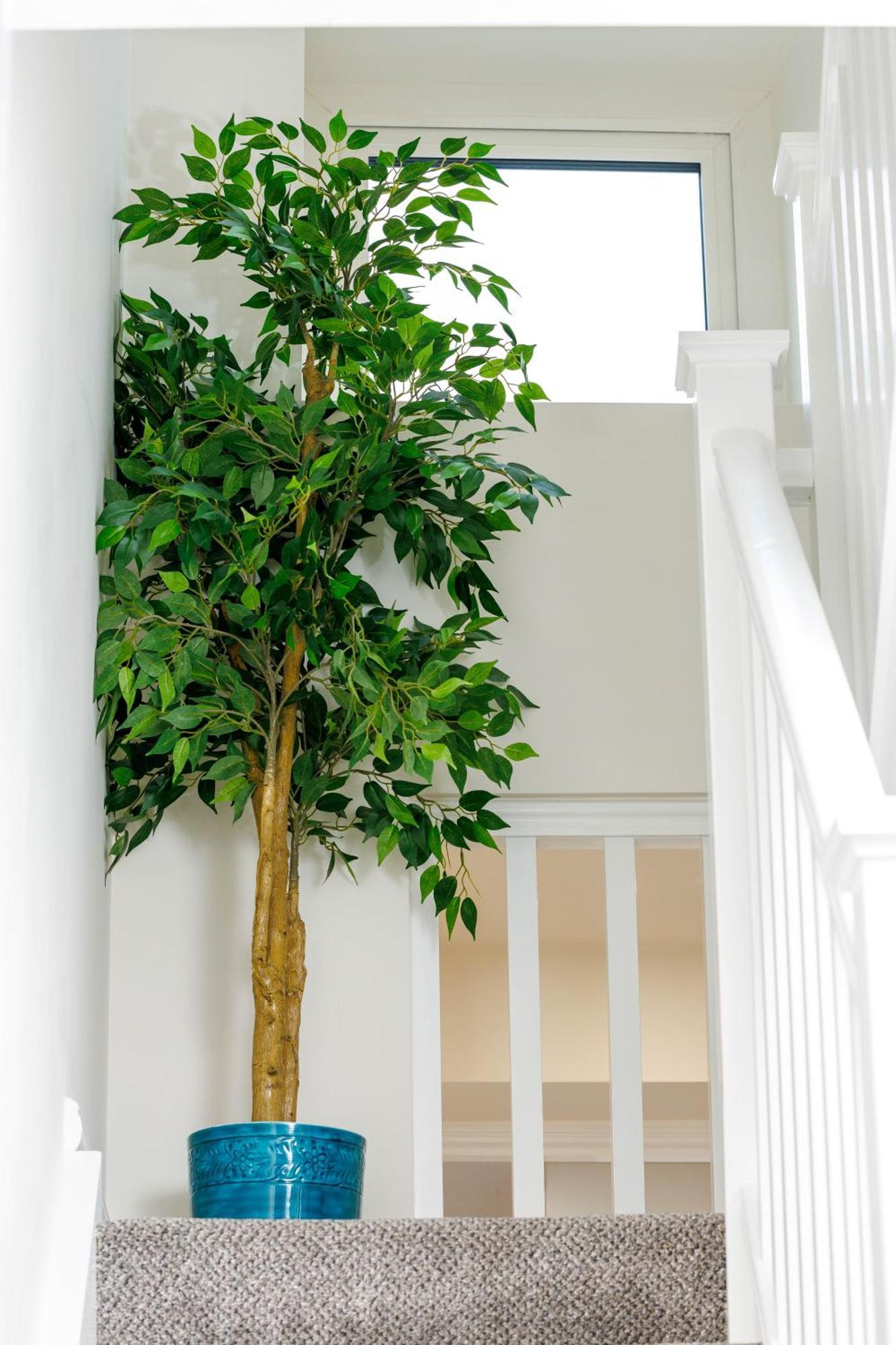 Sandbury Town House Килкенни Экстерьер фото